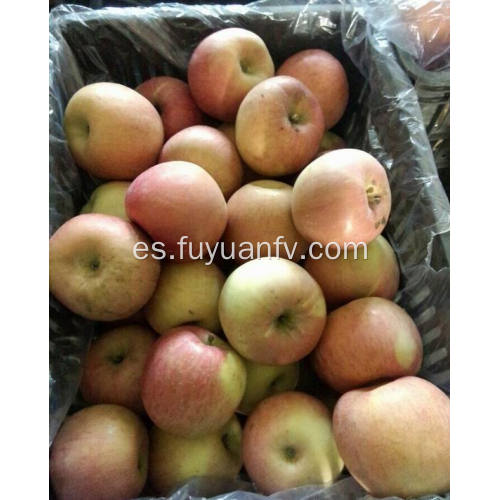 Manzana Qinguan de nueva cosecha fresca de alta calidad